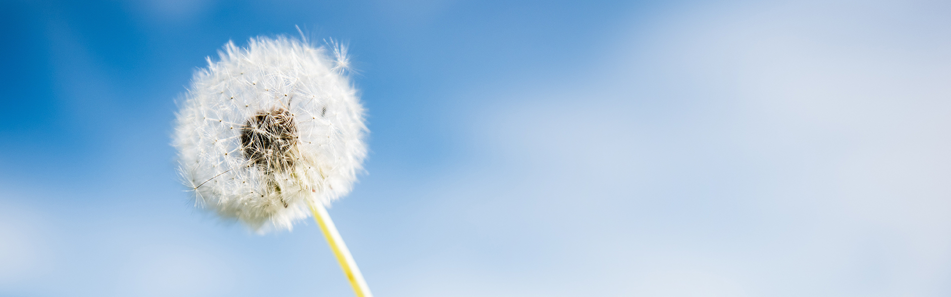 企業(yè)社會(huì)責(zé)任報(bào)告